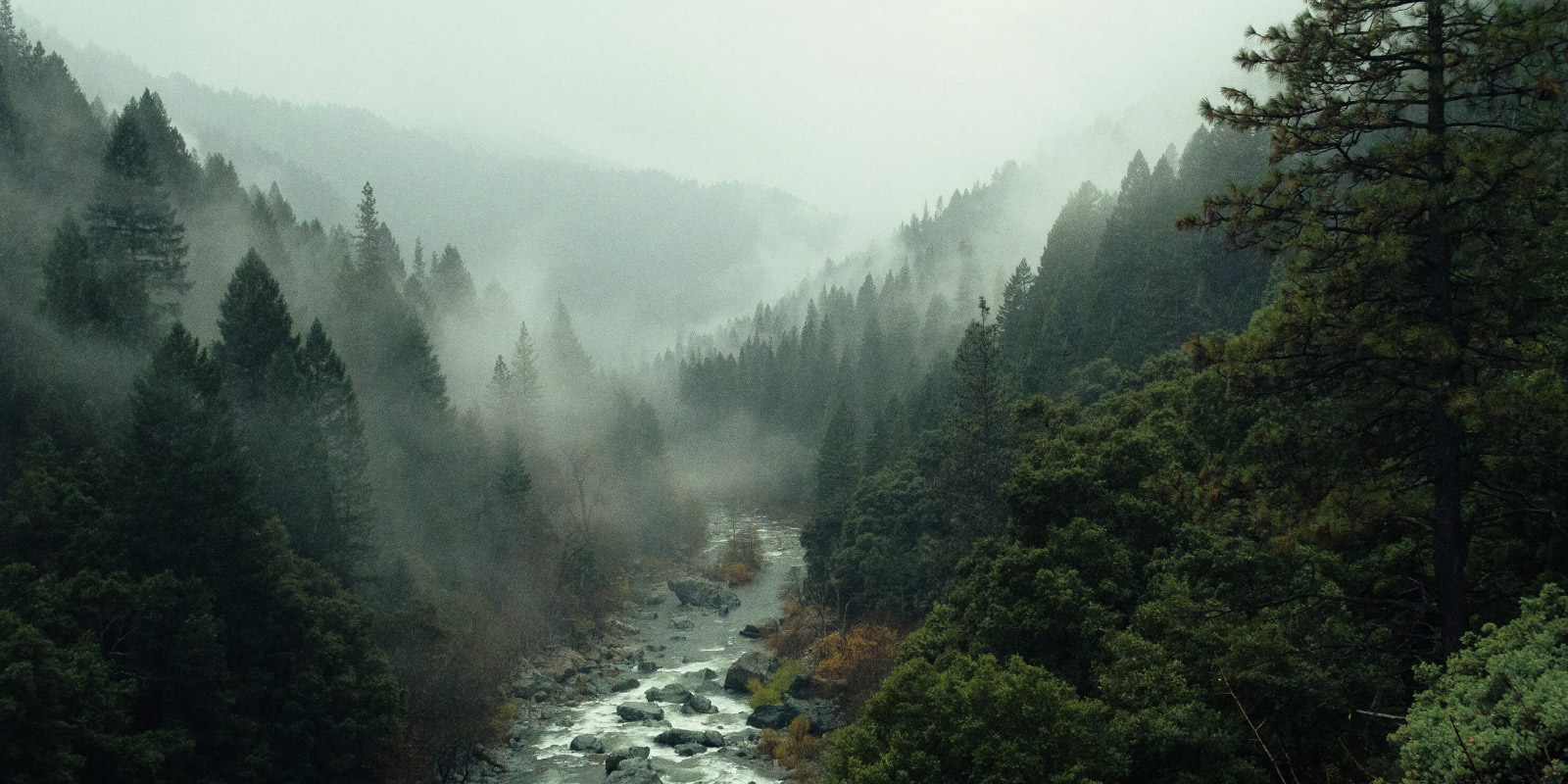 Río rodeado de árboles y niebla.